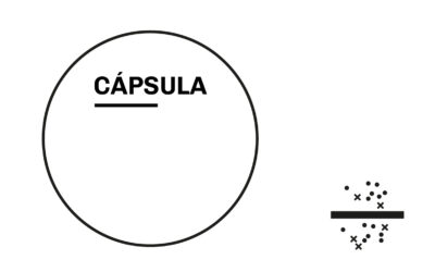 sub_pe_drand_kit_capsula_line_k